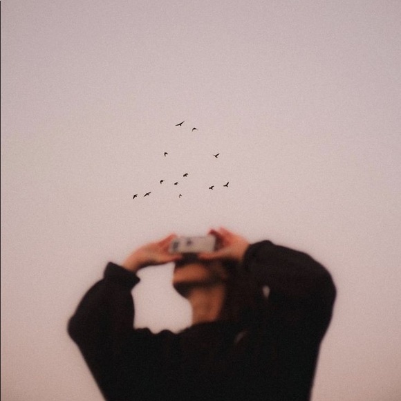 Meet your Posher, Elle - Picture 2 of 2